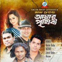 Babui Pakhi Nolok Babu Song Download Mp3