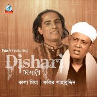 Ami Tomay Daki Fakir Shahbuddin Song Download Mp3