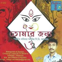 Or Meye Aamar Meye Lipika Debnath Song Download Mp3