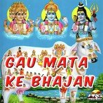 Gayiya Teri Kripa Se Dilip Gavaoya Song Download Mp3