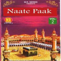 Dil Me Yade Nabi Ane Lagi Raish Kausar Song Download Mp3