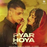 Pyar Hoya Ae Zehan Song Download Mp3