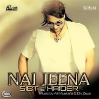 Teriaan Sibt E Haider Song Download Mp3