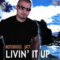 Marrey Dil Vaaliyan De Notorious Jatt Song Download Mp3