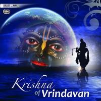 Giri Govardhan Gurusevak Das,Haridas Song Download Mp3