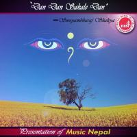 Chhangu Kha Swoyambhuraj Shakya Song Download Mp3