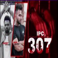 Ipc 307 Parry Sarpanch,Aman Jaluria Song Download Mp3