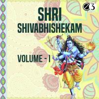 Shiva Mrutyunjaya Mantram 01 Gayatri,Rayancha Song Download Mp3