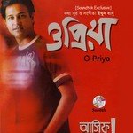 Jiboner Boro Porajoy Asif Song Download Mp3