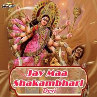 O Mahra Mataji Thare Charna  Mein Ravmeer Sagar Song Download Mp3