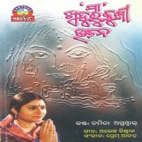 Kau Nei Gala Namita Agrawal Song Download Mp3