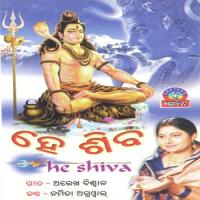 Nama Shivaya Pancha Alekh Biswal Song Download Mp3