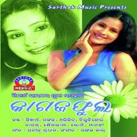 Manuchi College Re Bibhu Kishore Song Download Mp3