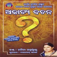 Gita Nasa Hoithae Namita Agrawal Song Download Mp3