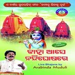 Nandara Ananda Arabinda Muduli Song Download Mp3