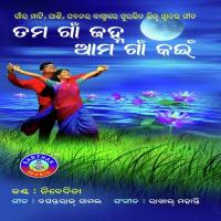 Baula Lo Bara Tora Paradesi Nibedita Song Download Mp3