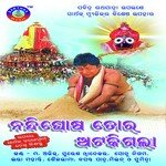 Nandighosa Tora Basanta Patra Song Download Mp3