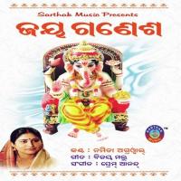 Mata Garabe Andha Namita Agrawal Song Download Mp3