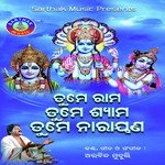 Tume Rama Tume Shyama A Arabinda Muduli Song Download Mp3