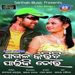 Paunji Padaku Udit Narayan,Nibedita Song Download Mp3