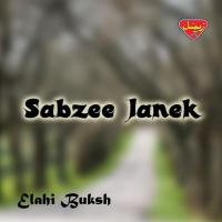 Sabzee Janek Elahi Buksh Song Download Mp3