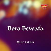 Dil Gerewi Mani Basit Askani Song Download Mp3