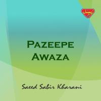 Gusha Bewafa Saeed Sabir Kharani Song Download Mp3