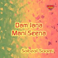 Waqtigin Champal Mani Sabzal Saami Song Download Mp3