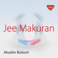 Aurdal Labaee Muslim Baloch Song Download Mp3