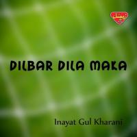 Pa Milaga Bya Inayat Gul Kharani Song Download Mp3