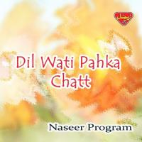 Gumani Bahr Zoorag Baaz Naseer Program Song Download Mp3