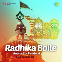 Nila Chakre Bana Anuradha Paudwal Song Download Mp3