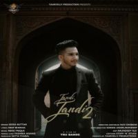 Jandi Jandi 2 Seera Buttar Song Download Mp3