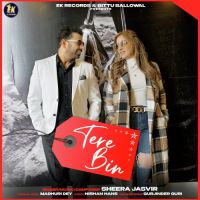 Tere Bin Sheera Jasvir,Madhuri Dey Song Download Mp3