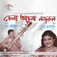 Madhabilata Aaji Milal Sakhi Manashi Mukhopadhyay Song Download Mp3