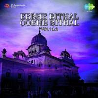 Eebhe Bithal Oobhe Bithal Pt. 2 Bhai Balwinder Singh Rangila,Bhai Bhupinder Singh,Bhai Surinder Singh Song Download Mp3