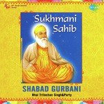 Sukhmani Sukhamrit Prabh Naam Pt. 1 Bhai Tarlochan Singh Ragi Song Download Mp3