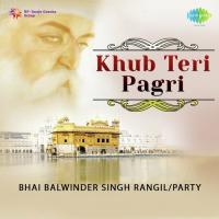 Khub Teri Pagri Bhai Balwinder Singh Rangila Song Download Mp3