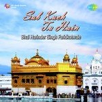 Sansar Nig Anera Bhai Harjinder Singh Ji Song Download Mp3