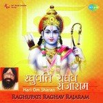 Kirtan Hari Om Sharan,Surinder Kaur Kohli,Ashok Khosla,Renu Chaudhary,Sunil Kumar Song Download Mp3