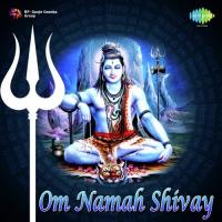 Om Namah Shivay - Dhun Anup Jalota,Om Vyas,Sadhana Sargam,Pritha Majumdar Song Download Mp3