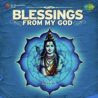 Shiv Panchakshra Stotra Brahmins Song Download Mp3