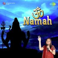 Opening Invocation - Shlokas Suresh Wadkar,Sadhana Sargam Song Download Mp3