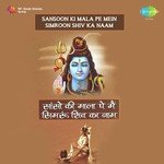 Mera Shiv Bada Bhola Bhala Rajesh Chauhan Song Download Mp3