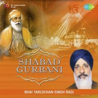 Kar Kirpa Prabh Din Dayala Bhai Tarlochan Singh Ragi Song Download Mp3