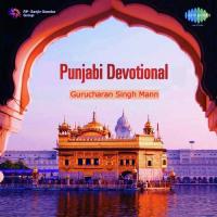 Tain Sahib Ki Main Sar Na Jani Bhai Sadhu Singh Ragi Song Download Mp3