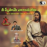 Bharunchalenayya (Female) Nithya Santhoshini Song Download Mp3