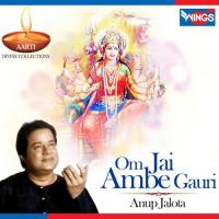 Om Jai Ambe Gauri Anup Jalota Song Download Mp3