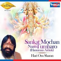 Sankat Mochan Naam Tumharo Hari Om Sharan Song Download Mp3