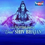 Mere Ghar Mai Bhi Aao Shiv Shambhu Anup Jalota Song Download Mp3